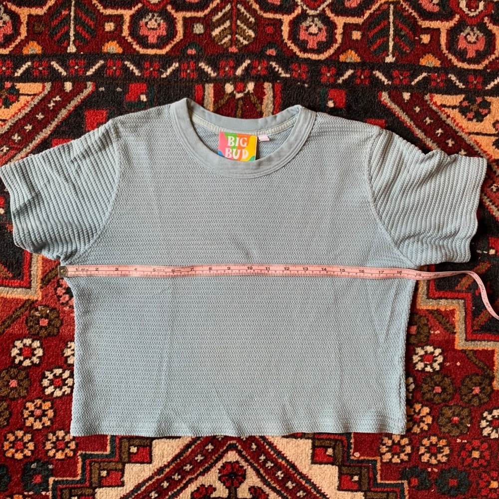 Big Bud Press Cropped Honeycomb Tee, Size XXS - Picture 10 of 11